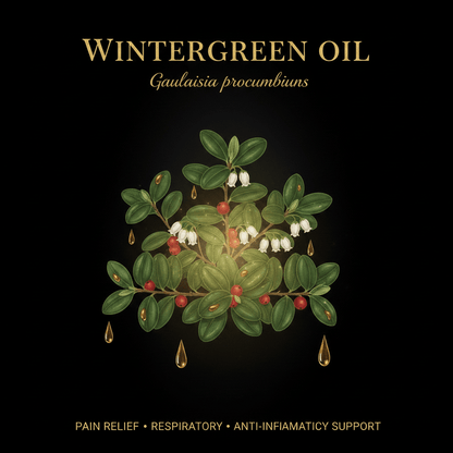 Wintergreen Oil (Gaultheria procumbens) – Pain Relief, Respiratory & Anti-Inflammatory Support, Tincture, Futures ETC