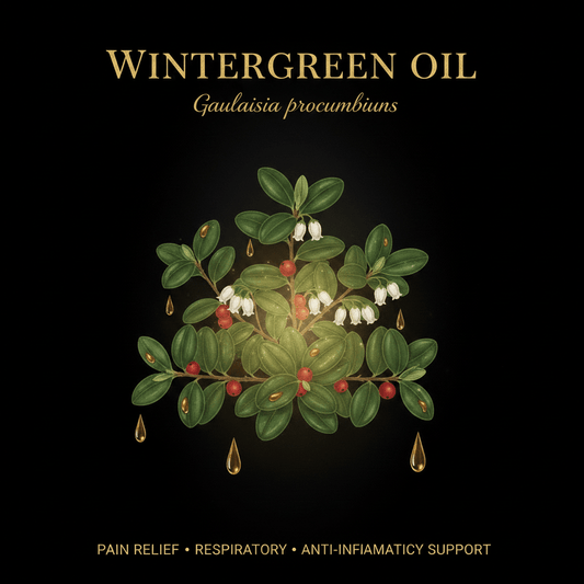 Wintergreen Oil (Gaultheria procumbens) – Pain Relief, Respiratory & Anti-Inflammatory Support, Tincture, Futures ETC
