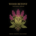 Wood Betony (Stachys officinalis) – Circulatory, Nerve & Digestive Support, Tincture, Futures ETC