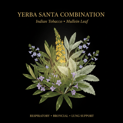 Yerba Santa Combination – Respiratory & Bronchial Support | Indian Tobacco & Mullein Leaf, Tincture, Futures ETC