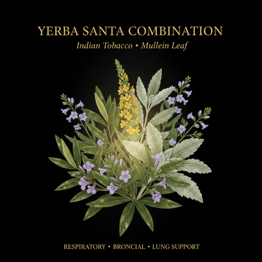 Yerba Santa Combination – Respiratory & Bronchial Support | Indian Tobacco & Mullein Leaf, Tincture, Futures ETC