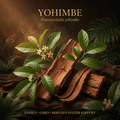 Yohimbe botanical editorial image with gold serif text