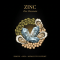 Zinc (Softgels 100 ct) – Immune, Antioxidant & Hormonal Support, Tincture, Futures ETC